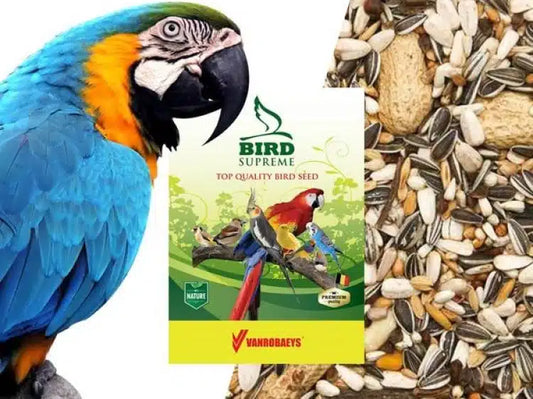 Parrot and Macaw Mix