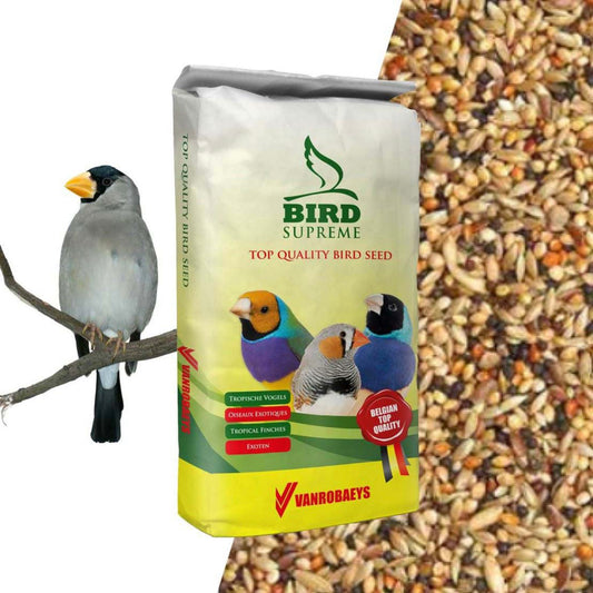 Finches Mix زيبرا